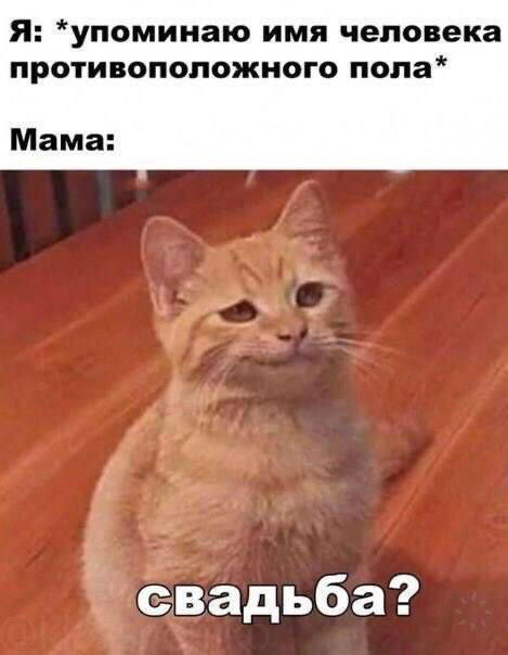 Дички под конец выходных