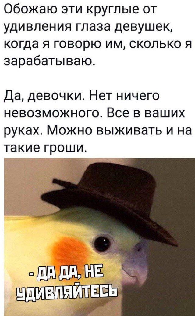 Дички под конец выходных