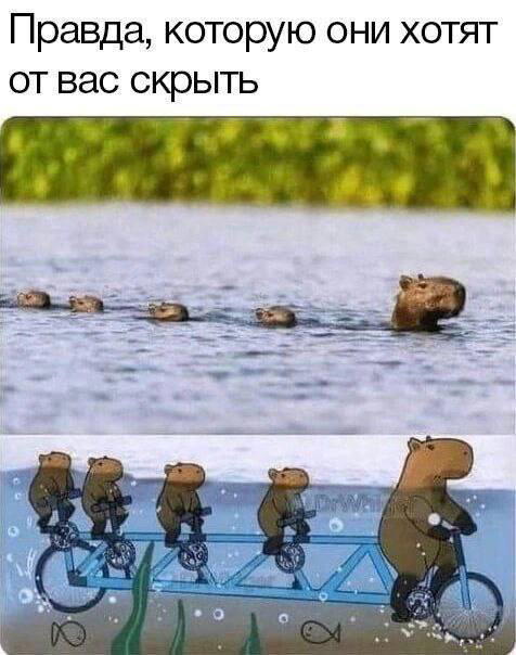 Дички под конец выходных
