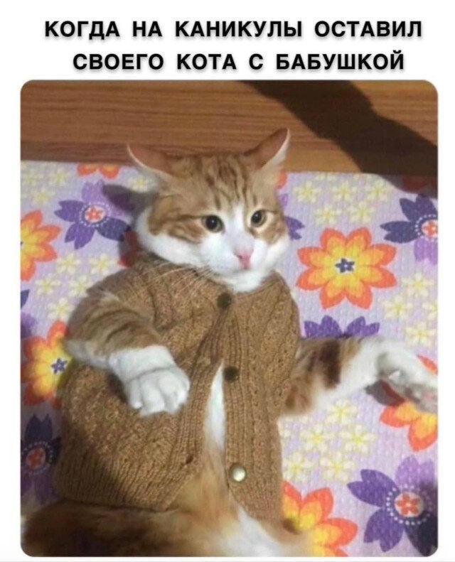 Дички под конец выходных