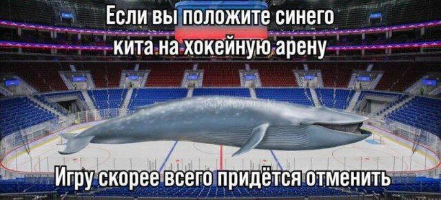 Дички под конец выходных