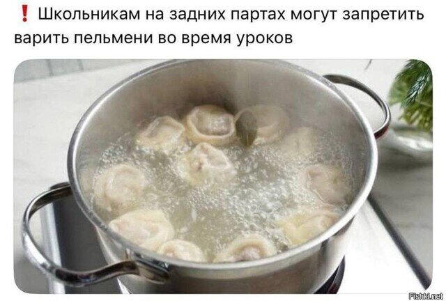 Дички под конец выходных