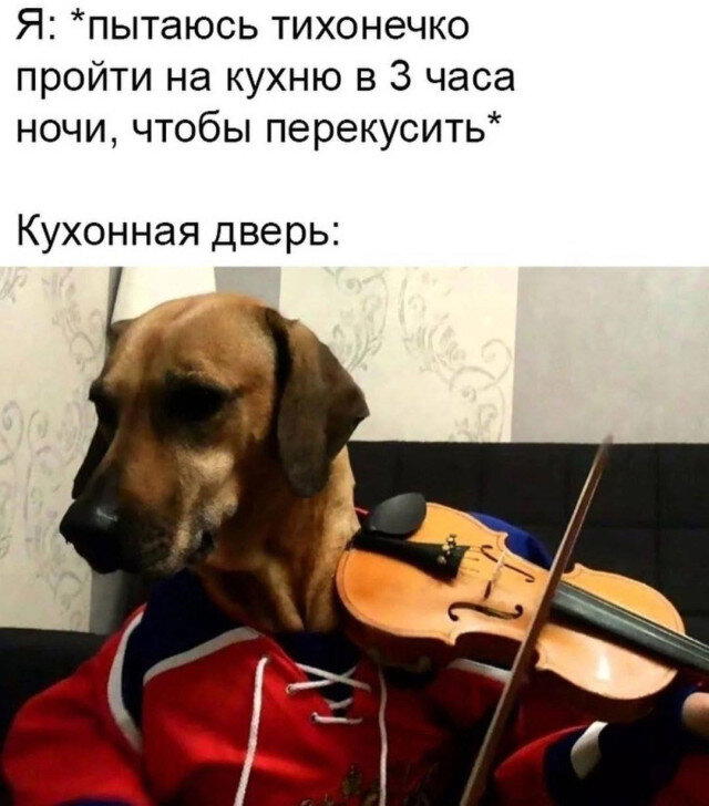 Диченька для кислоты