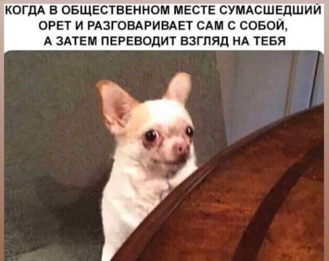 Диченька для кислоты