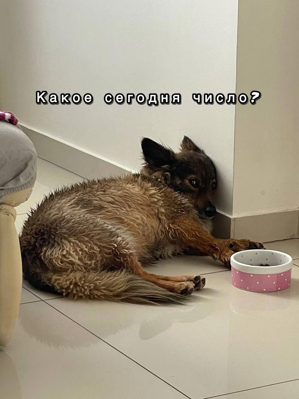 Диченька для кислоты