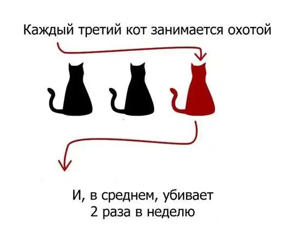 Ивент Вомбата. Слово недели - Куща.