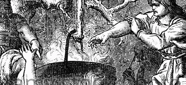 Ивент Вомбата. Слово недели - Куща.