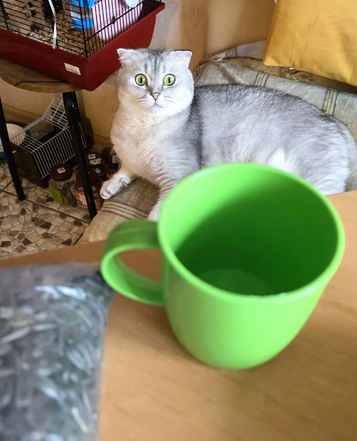 Котовский словил вьетнамский флэшбек?