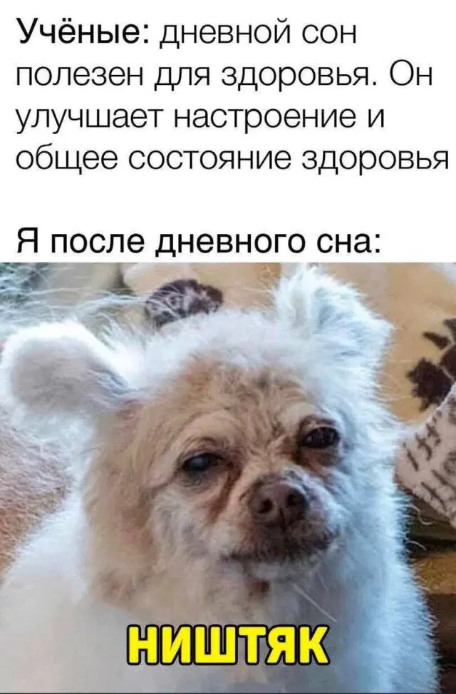 Новой радостной дичи