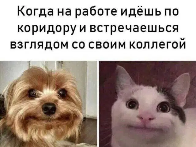 Новой радостной дичи