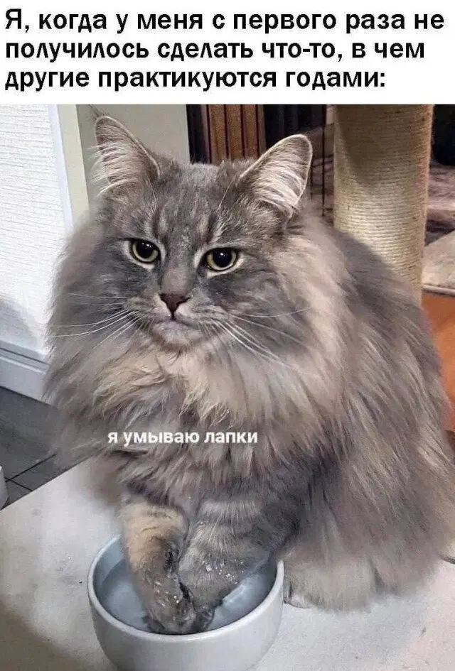 Новой радостной дичи