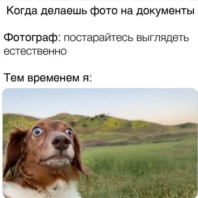 Новой радостной дичи