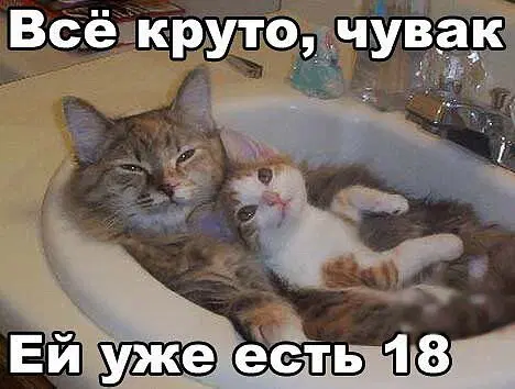 Новой радостной дичи