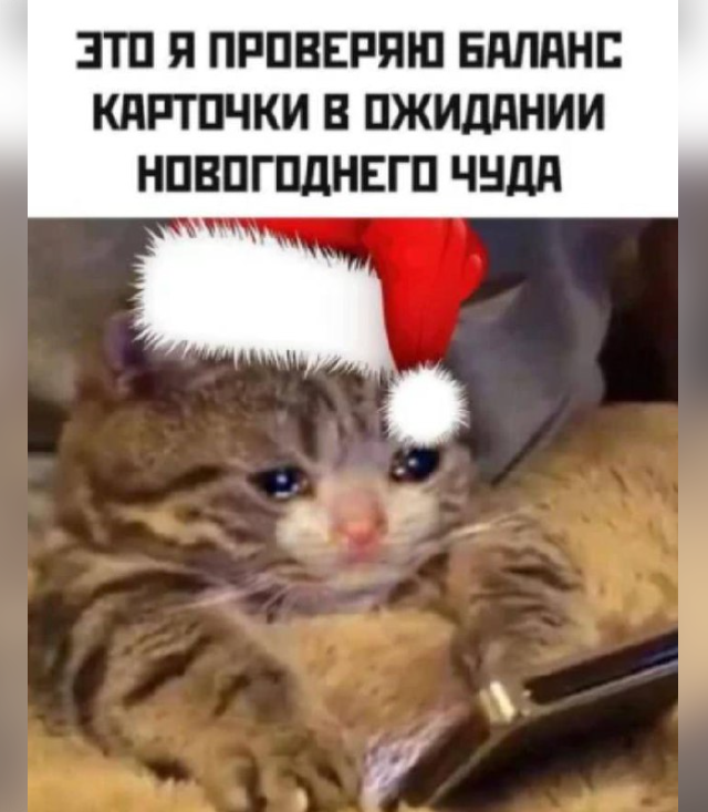 Дичка просто дичка