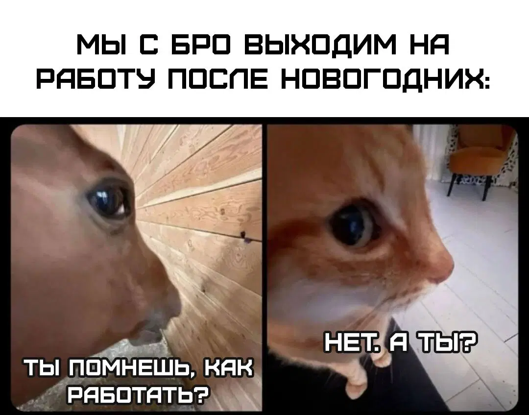 Дичка просто дичка