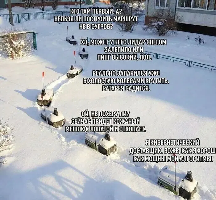 Дичка просто дичка