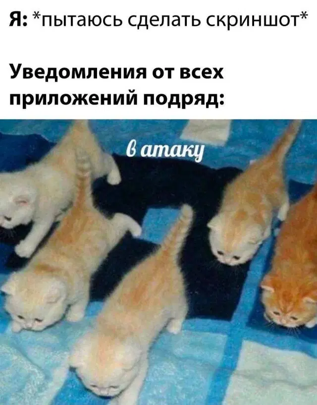 Дичка просто дичка