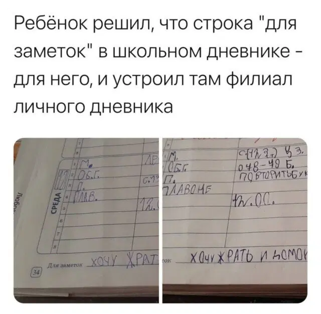 Дичка просто дичка