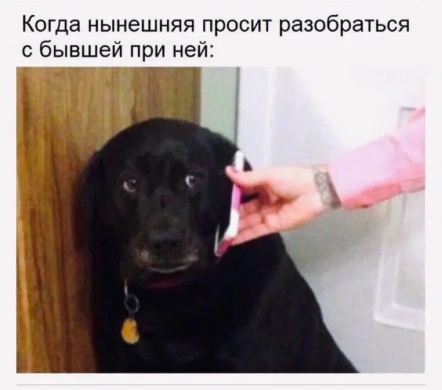 Дичка просто дичка