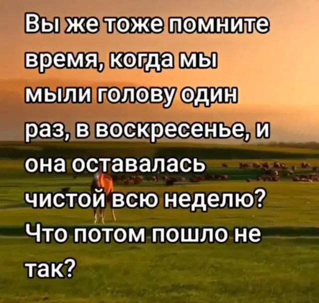 Дичка просто дичка