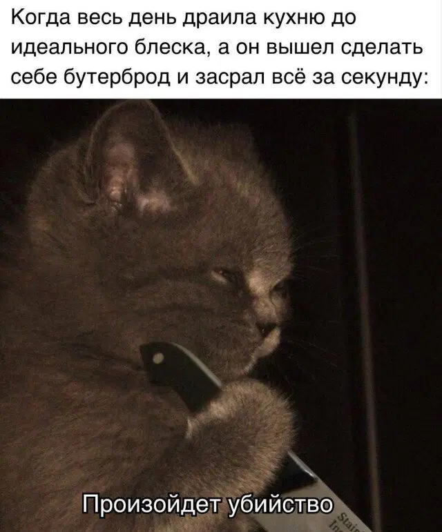 Дичка просто дичка