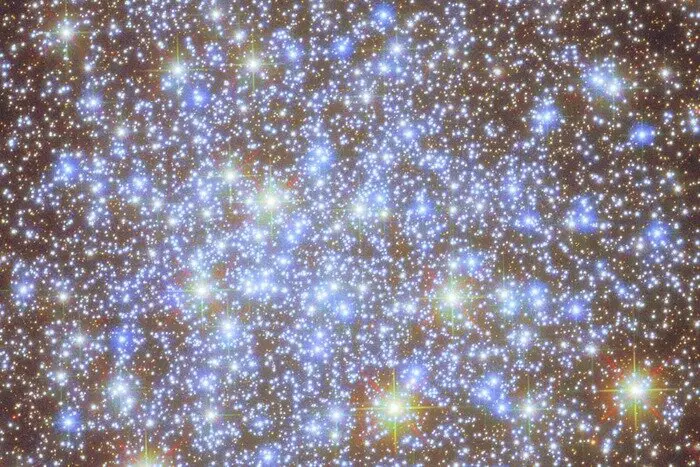 © ESA/Hubble &amp; NASA, A. Sarajedini, G. Piotto, M. Libralato