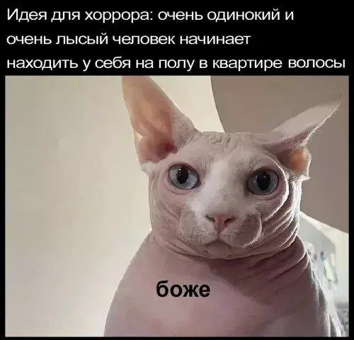 Утро без дичи немного пресноватое