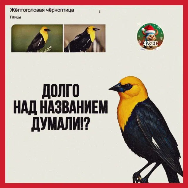 Утро без дичи немного пресноватое