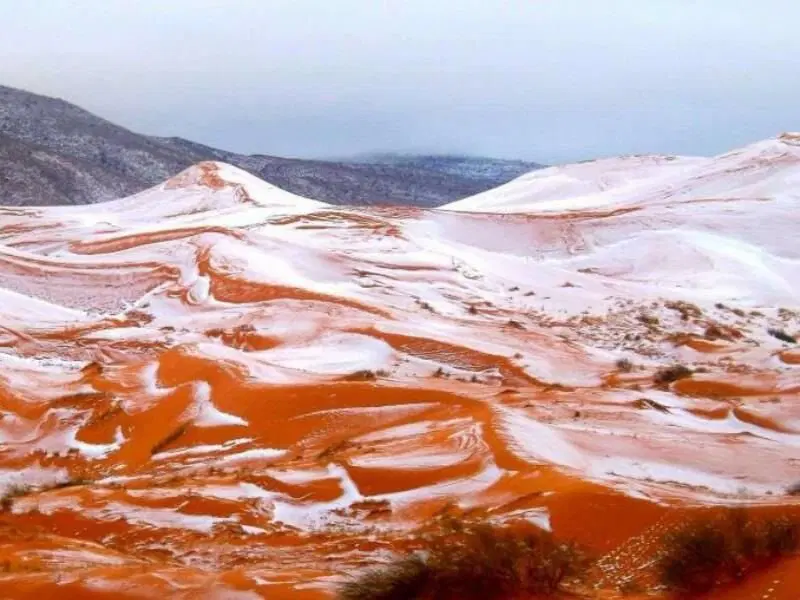 Снег может выпасть даже в Сахаре