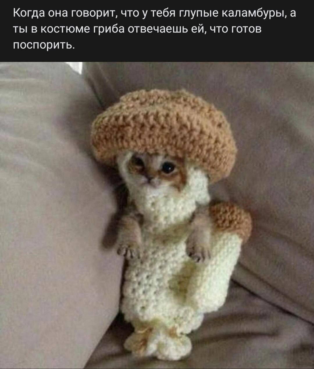 Дички на среду, кислая