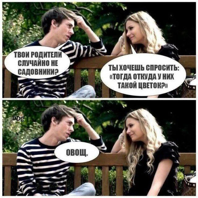 Дички на среду, кислая