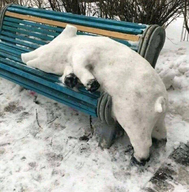 Дички на среду, кислая