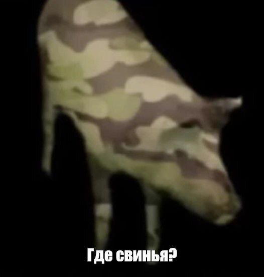 Дичи?