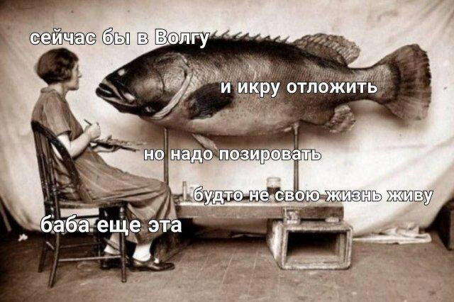 Дичь без повтора, запах простора