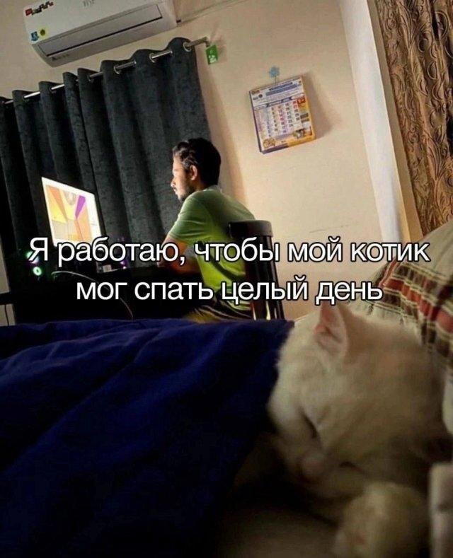 Дичь без повтора, запах простора