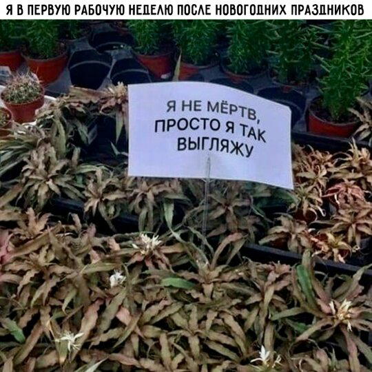 Дичь без повтора, запах простора