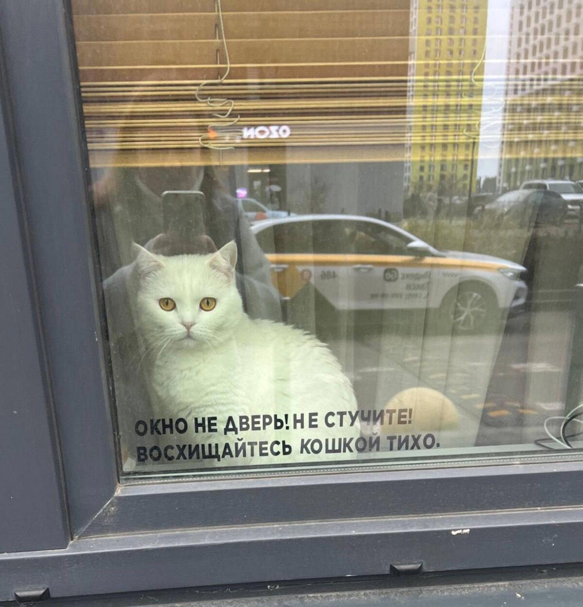 Дичь без повтора, запах простора