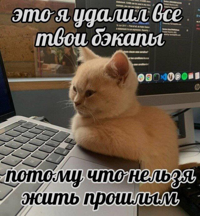 Дичь без повтора, запах простора