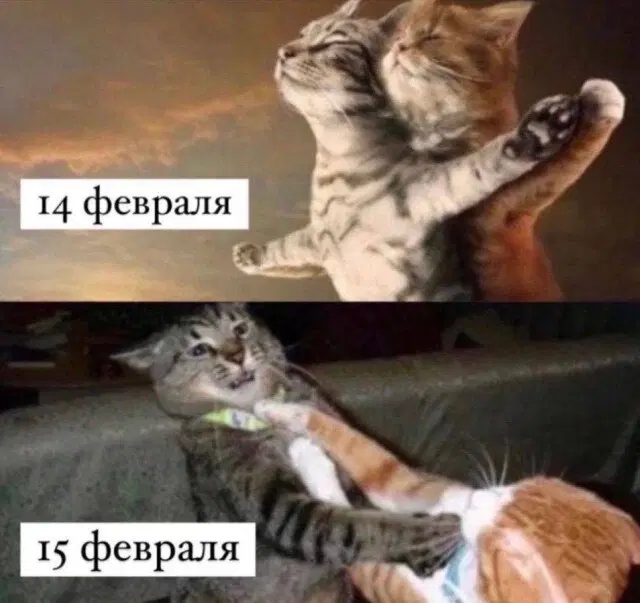 Пусть утро будет с дичкой