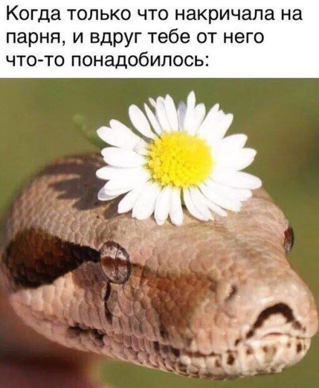 Пусть утро будет с дичкой