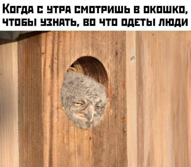 Пусть утро будет с дичкой