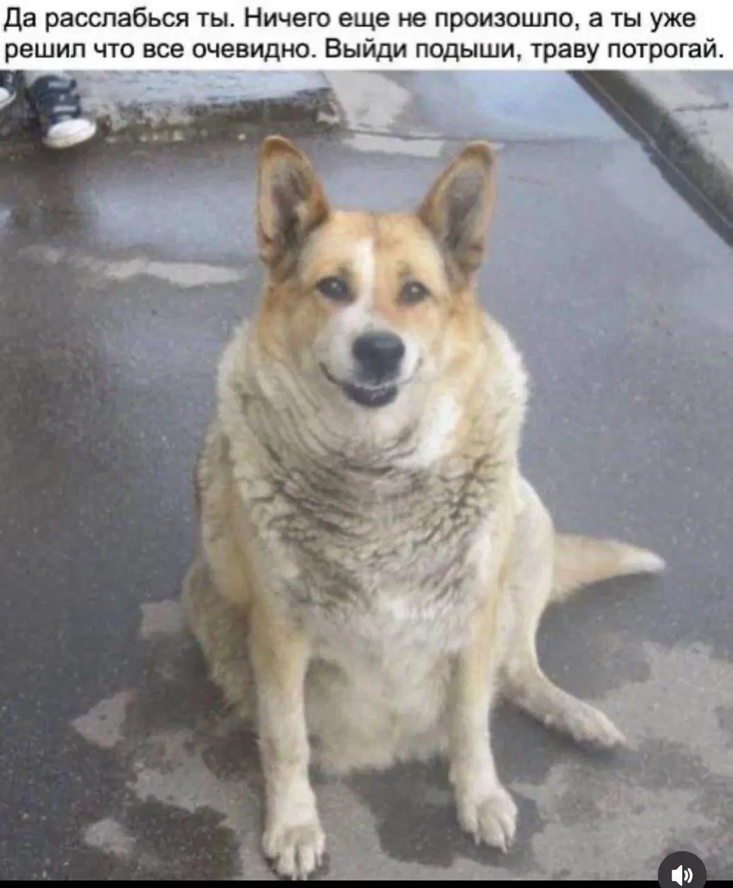 Пусть утро будет с дичкой