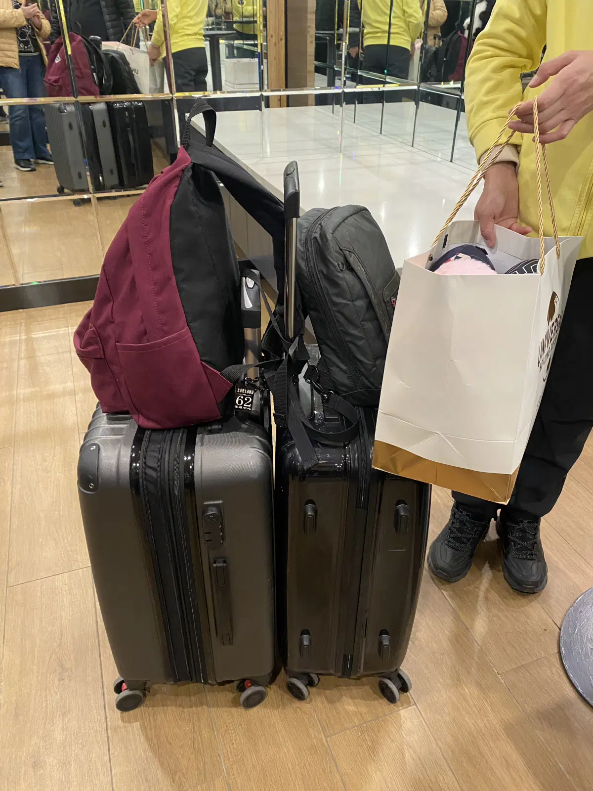 При входе в зоопарк есть что-то вроде камер хранения, где мы оставили все свои чемоданы. Багаж попросили сфотографировать на всякий случай.