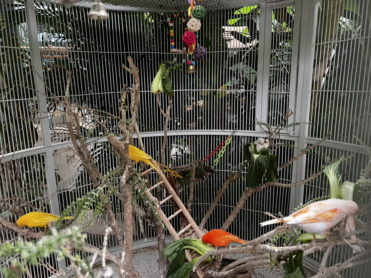 Ну и всем птичек в хороших просторных гнёздах. :)