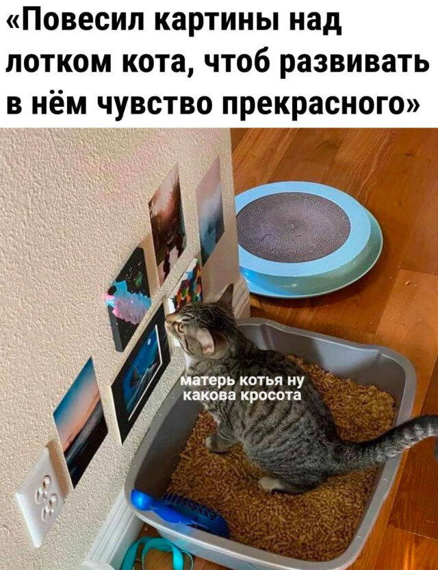 Вот и пятничная дичка