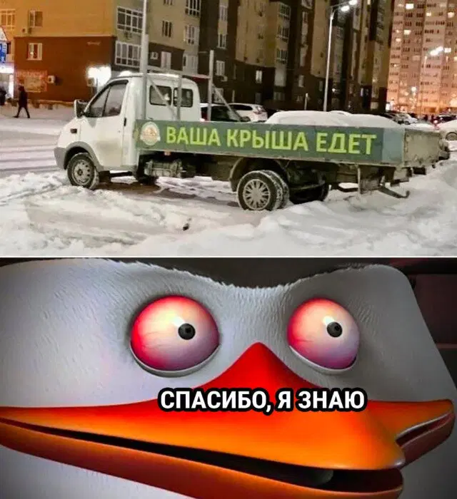 Вот и пятничная дичка