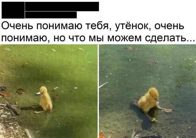 Вот и пятничная дичка