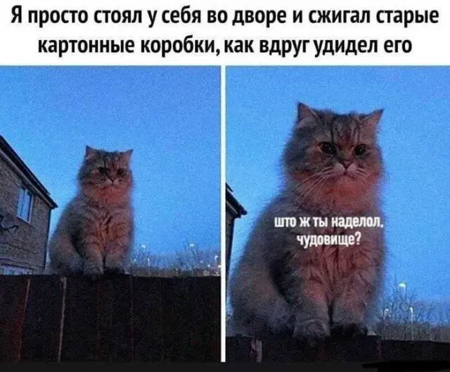 Вот и пятничная дичка