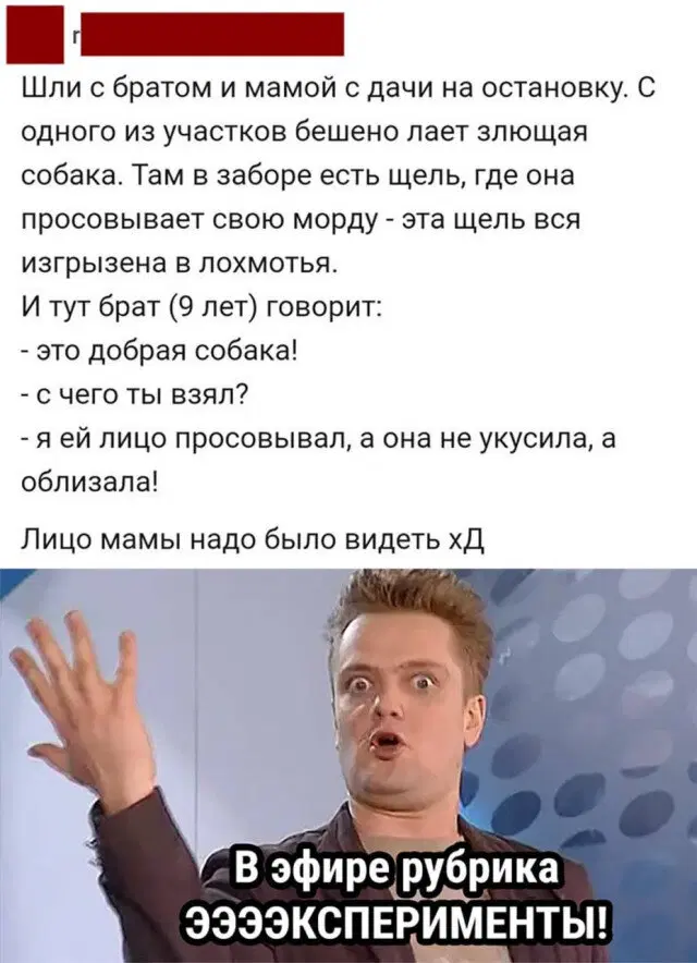 Вот и пятничная дичка