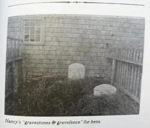 Кладбище курочек Нэнси Люс